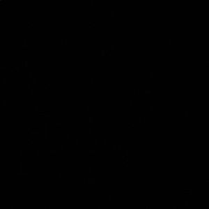 Meet your Posher, Kenneth